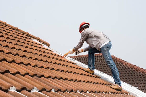 Roof Insulation in Mccamey, TX